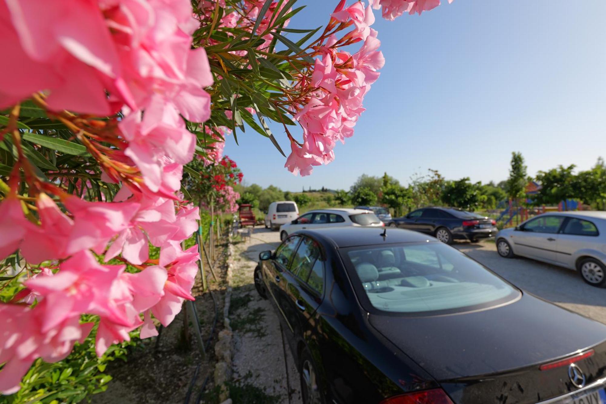Mesopotam Agrotourism Resort Sarandë Eksteriør bilde