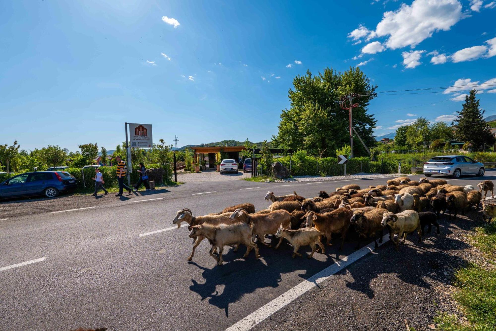 Mesopotam Agrotourism Resort Sarandë Eksteriør bilde